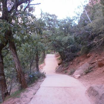 Lower emerald pools trail.
