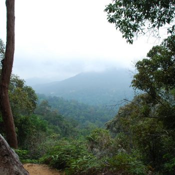 boven bij de taman negara