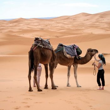Sahara