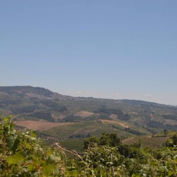 Douro Vallei 