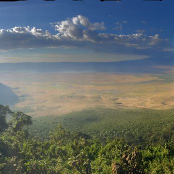 Ngorongoro 