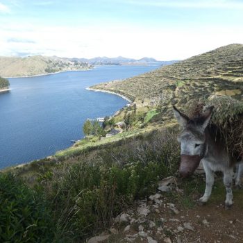 Op Isla del Sol