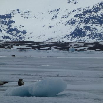 Jökulsárlón