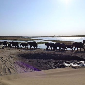 Chobe