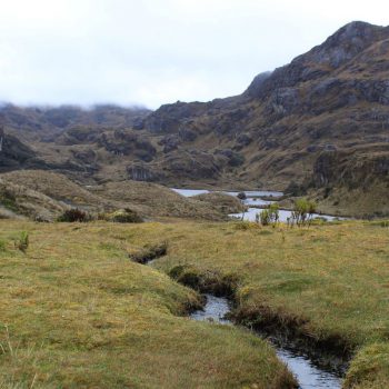 Cajas National Park