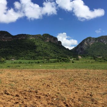 Vinales