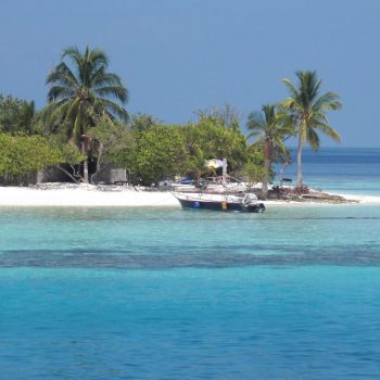 Paradise!
