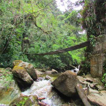 Prachtige jungles met twijfelachtige bruggetjes