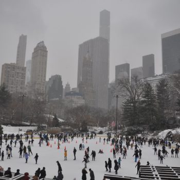 Sneeuw in Central park