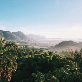Groen Vinales