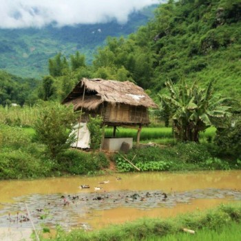 Schattige huisjes in Mai Chau