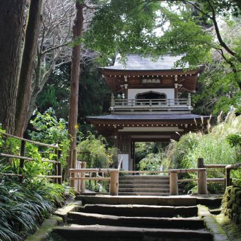 hike near Kamakura