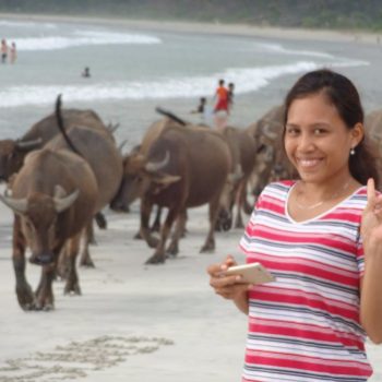 waterbuffels op het strand van Selonong Blanak