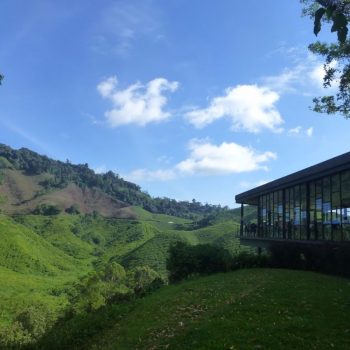BOH Tea house