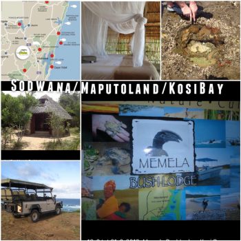 NO ZdAfrika, Maputaland/Kosi Bay