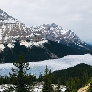 Peyto Lake 