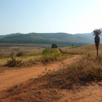 Mlilwane NP