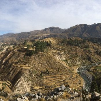Colca canyon 