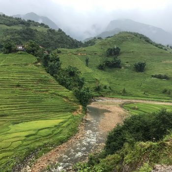 Sapa