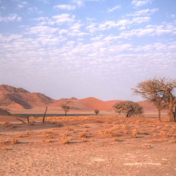 Overal rode duinen 