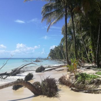 Bocas del Torro