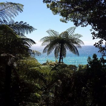 Uitzicht over de oceaan vanuit de jungle