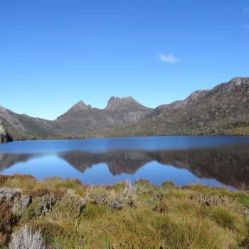 Tasmanie, NP