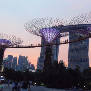 Gardens by the bay