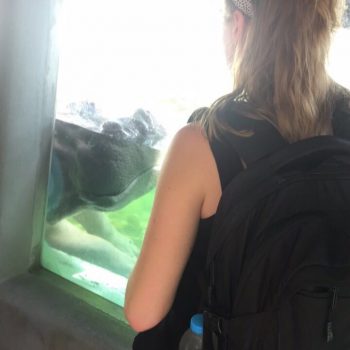 Dierentuin