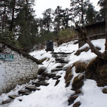 Poon Hill trekking