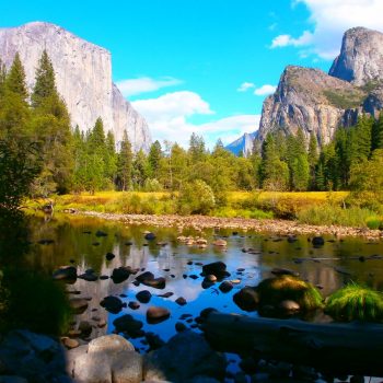 Yosemite valley view