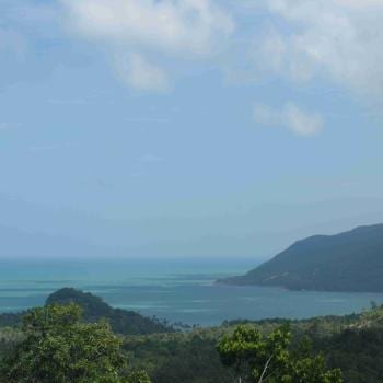View point