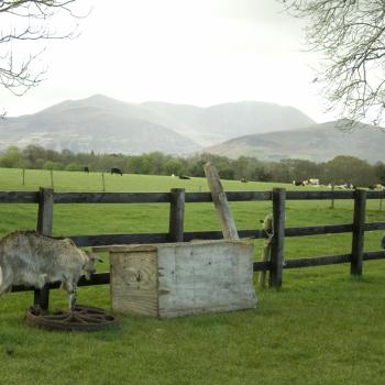 Ring of Kerry