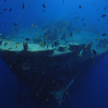 Tristlegorm Wrak