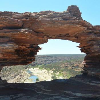 Nature's Window