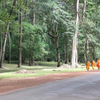 Monniken bij Angkor 