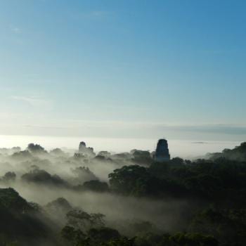 Ontwakende jungle in Tikal