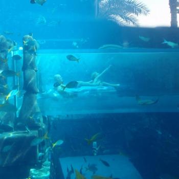 Een tunnel tussen de haaien door, Atlantis