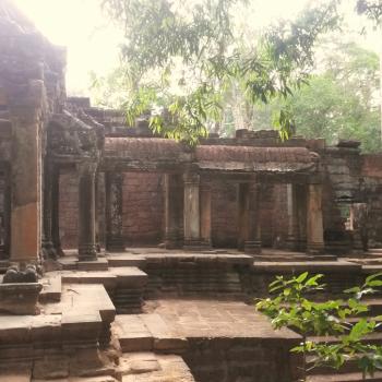 Ta Prom, Angkor Wat complex in Siem Reap