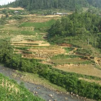 Sapa, trekken door de bergen en rijstvelden