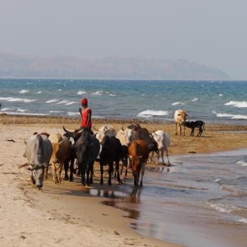 LAke Malawi