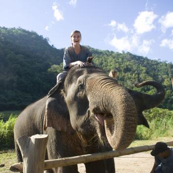 Elephant Mahout course