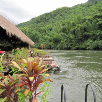 Jungle Rafts