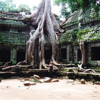Ta Phrom verscholen tussen de bomenvan het oerwoud