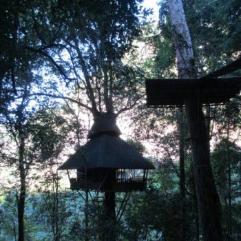 Onze boomhut in het Bolavenplateau (Pakse)