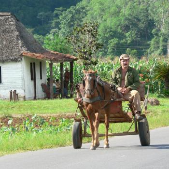 Vinales