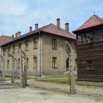 Auschwitz 