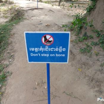 Killing fields