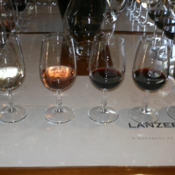 Proeverij op een winefarm