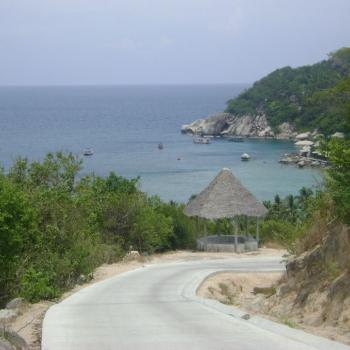 Koh Tao - Viewpoints